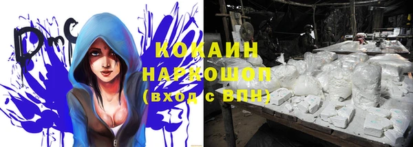 трава Абаза