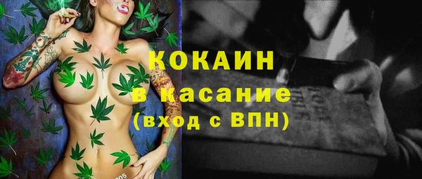 трава Абаза