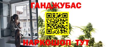 гидра Кингисепп
