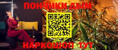 гидра Кингисепп