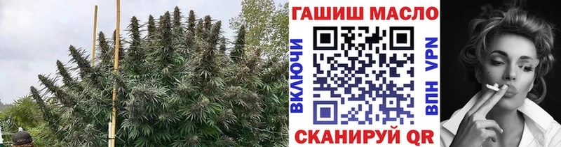 Дистиллят ТГК THC oil  Кинешма 