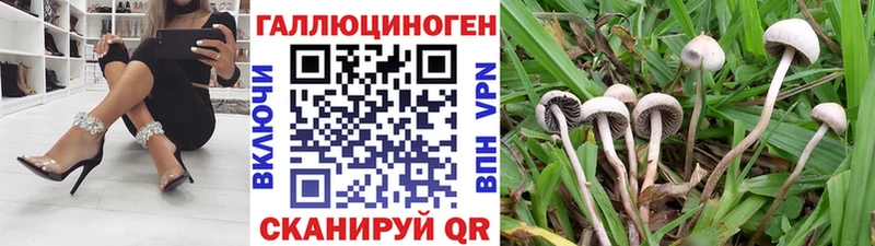купить наркотики сайты  ссылка на мегу рабочий сайт  Псилоцибиновые грибы MAGIC MUSHROOMS  Кинешма 
