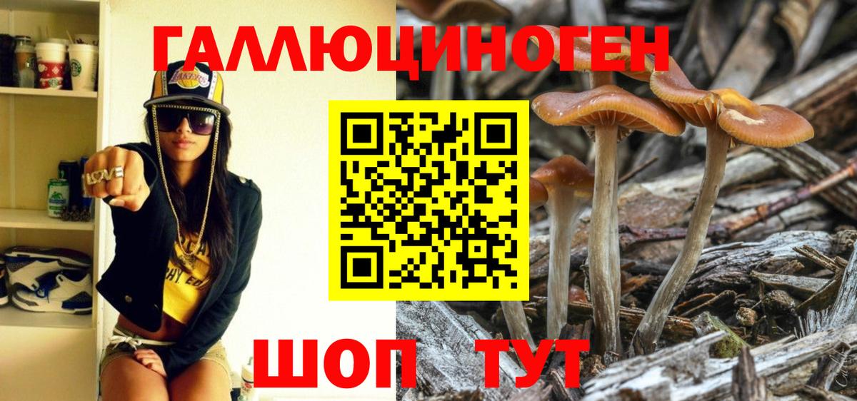 Псилоцибиновые грибы Psilocybine cubensis Кинешма